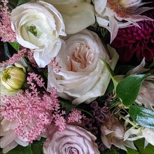 Meet your Posher, Paula